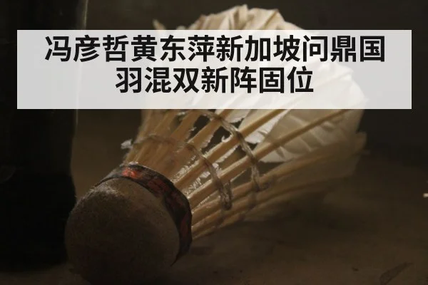 冯彦哲黄东萍新加坡问鼎国羽混双新阵固位